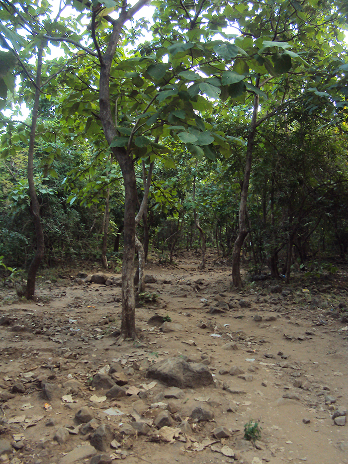 Path to ashram - Step 10