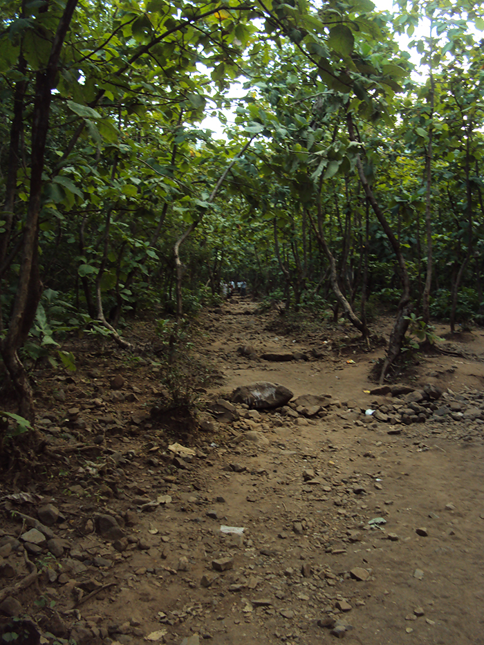 Path to ashram - Step 11