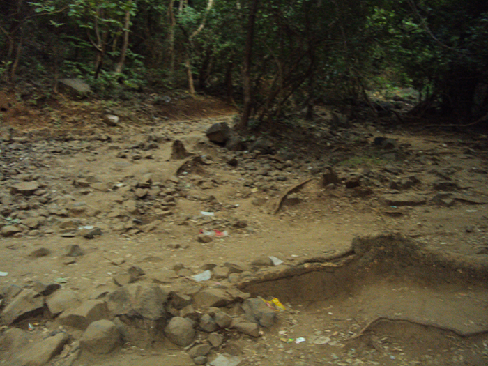 Path to ashram - Step 16