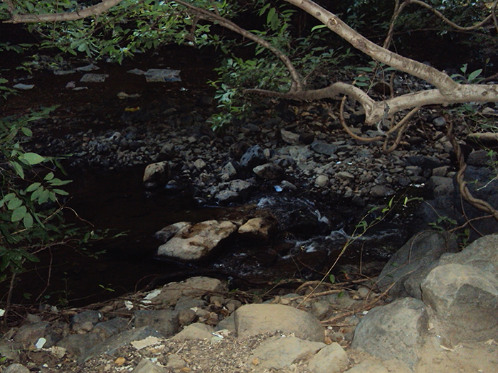 Path to ashram - Step 17