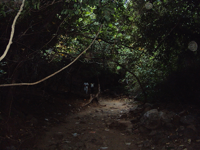 Path to ashram - Step 18